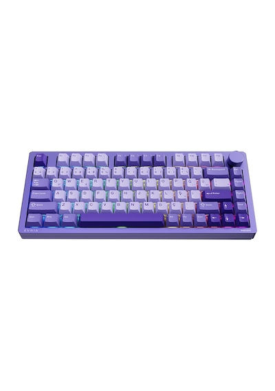 Philips Evnia Spk8618uprh Mekanik Hot Swap Switch Rgb Kablosuz Mor Klavye Spk8618uprh/38