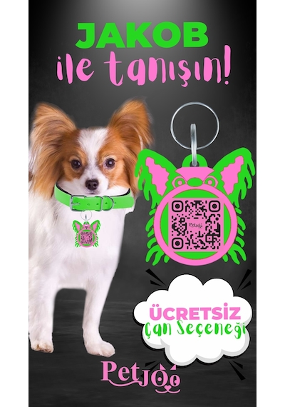 Petjoo 8.Jakob Pembe-Yeşil Qr'lı Köpek Künyesi