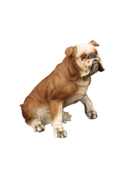 Açık Kahve İngiliz Bulldog Diğer