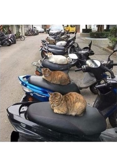 Pcx Nmax Sym Vb Modelleri Uygun Scooter Universal Motosiklet Siyah Sele Kılıfı Motor Koltuk Brandası