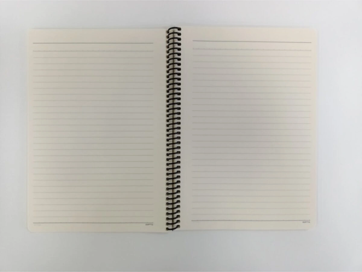 Artmaster Çizgili Inci Küpeli Kız Defter Karışık
