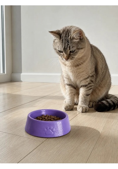 Pati Desen Model Beton Kedi Köpek Mama Ve Su Kabı 13 Cm Çap X 4 Cm - Mor