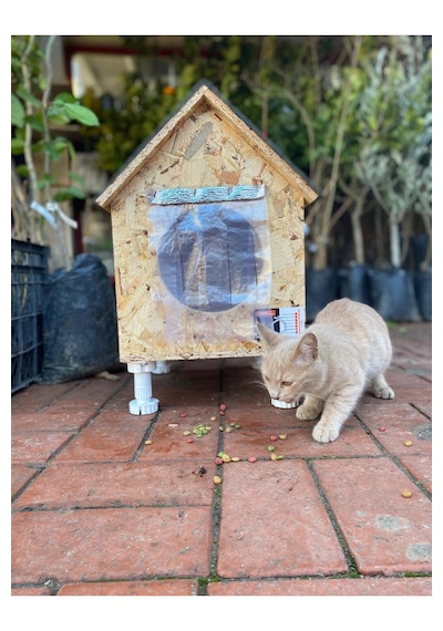 Reyo Narım Kedi Evi, Yerden Yüksek Kedi Yuvası, Su Ve Isı Yalıtımı İç Ve Dış Mekan Kedi Barınağı 33x38x40cm - Monteli Teslimat