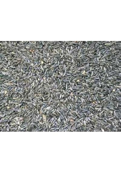2kg Ni̇jer Tohumu Yemli̇k