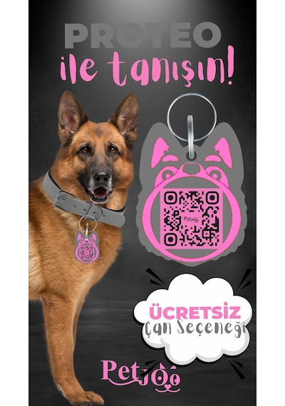Petjoo 24.Proteo Pembe-Gri Qr'lı Köpek Künyesi