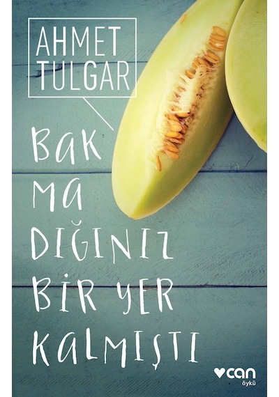 Bakmadığınız Bir Yer Kalmıştı - Ahmet Tulgar - Can Yayınları