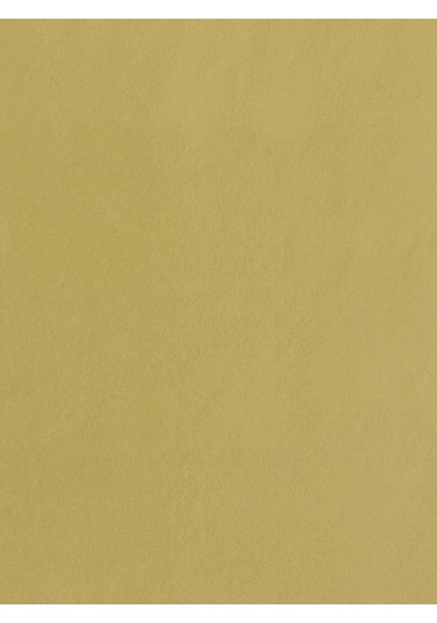 Slim Fit Kadın Bluz K.kol Light Yellow