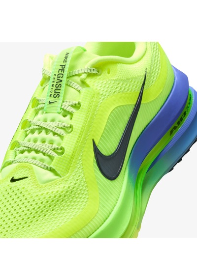 Nike Pegasusu Erkek Yeşil Koşu Ayakkabısı Hq2592-702 Juststep