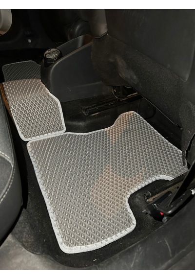 Citroen C3 Eva Paspas