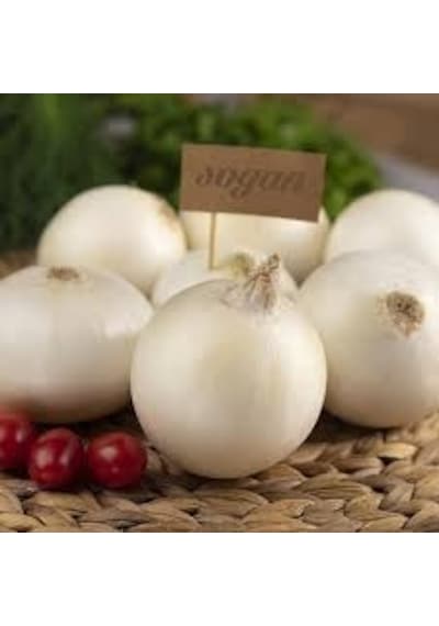 50 Adet Tohum Nadir Kışlık Beyaz Kuru Soğan Tohumu Hobi Bahçe Kal