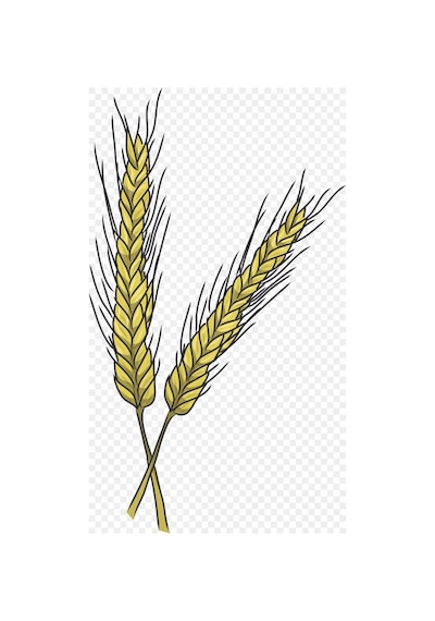 Kappadokia Kızıl Buğday, Spelt Dinkel Unu 1 Kg