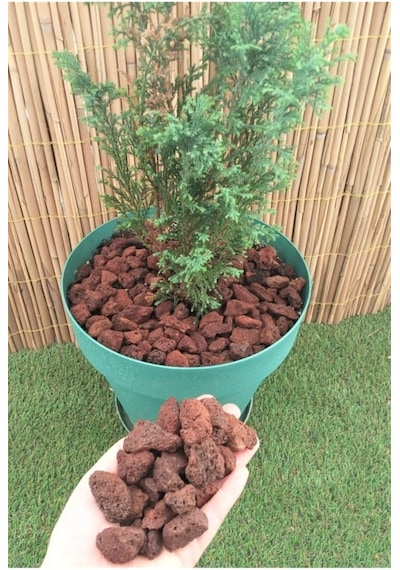 Asenya Pomza Taşı 50 Lt 1-2 Cm Dekoratif Pomza Taşı Kırmızı Pomza Tarım Pomzası Lav Taşı Cüruf Ponza 0