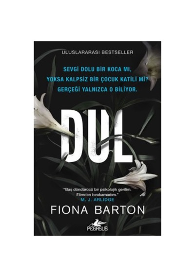 Psikolojik Gerilim Romanları Seti Zanlı & Dul 2'li Set, Pegasus Yayınları Fiona Barton