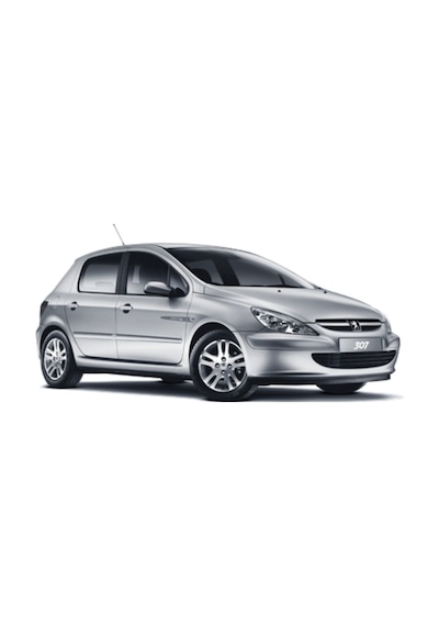 Peugeot 307 3D Paspas + Bagaj Havuzu Hb 2001-2008 Arası Rizline