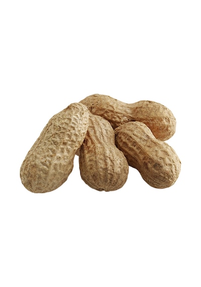 Gürbüzler Kabuklu Yer Fıstığı 250 G