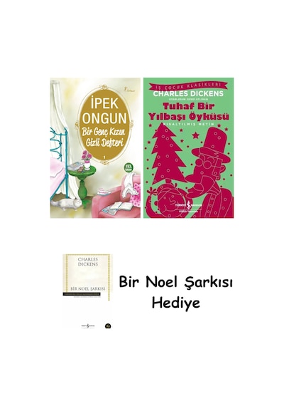 Bir Genç Kızın Gizli Defteri 1 + Tuhaf Bir Yılbaşı Öyküsü + Bir Noel Şarkısı