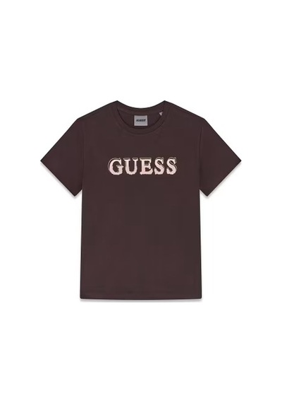 Guess Fausta Regular Fit Kadın T-shirt V6bı06k6273 Kahverengi