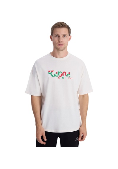 Kappa Erkek Comfort Fit T-shirt Gri