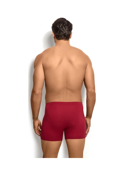Jiber Erkek Bambu Bordo Boxer 278