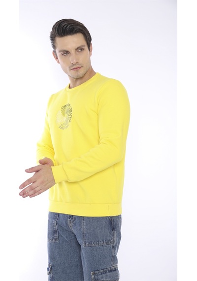 Escetic Erkek Spor Slimfit, Bisiklet Yaka Sarı Sweatshirt-4267
