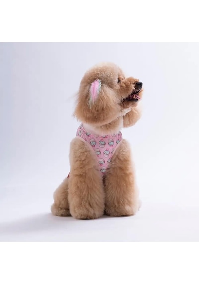 Pawstar 26840 Cupcake Küçük Irk Köpek T-shirtü