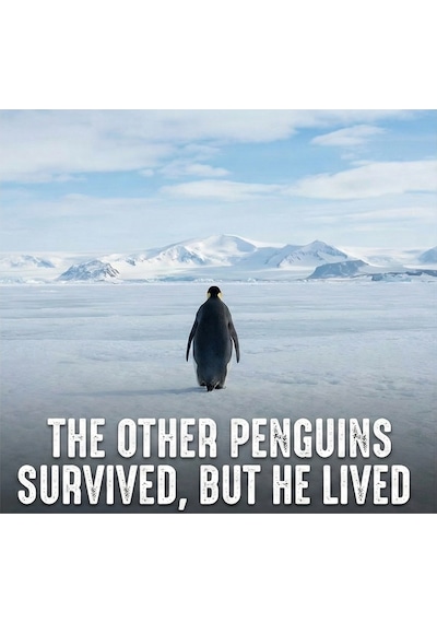 Novalisse Kadın 3 İplik Pamuklu Kapüşonlu Hoodie Sweatshirt Survivor Penguen Baskılı - Siyah Çoklu Renk