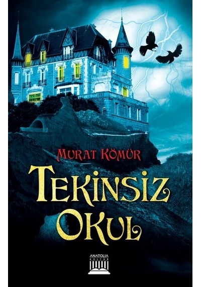 Tekinsiz Okul - Murat Kömür - Anatolia Kültür