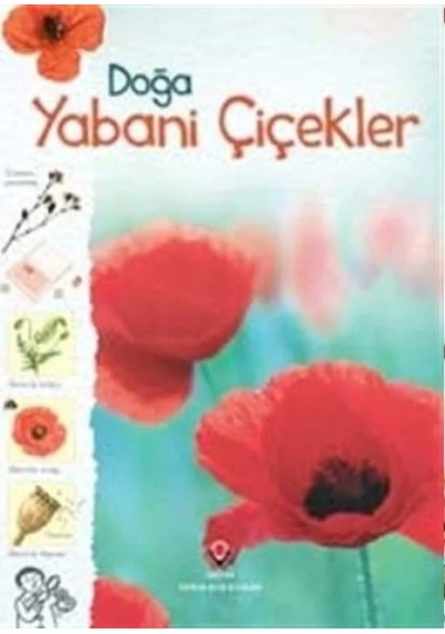 Ers- Doğa-yabani Çiçekler