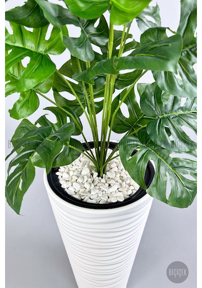Biçiçek Yapay Monstera Deve Tabani Bi̇tki̇si̇ 130 Cm Beyaz Kumsal Saksıda