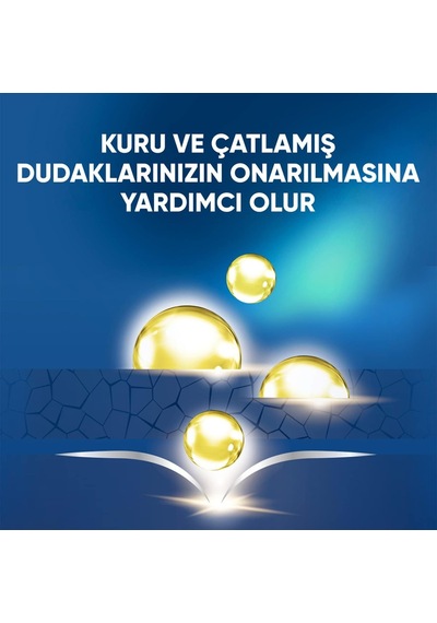 Lip Therapy Yumuşatıcı Dudak Kremi Aloe Vera 20 G