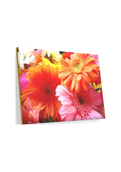 Cakasepetim Gerbera Çiçekleri Turunculu Pembeli Ahşap Mdf Tablo