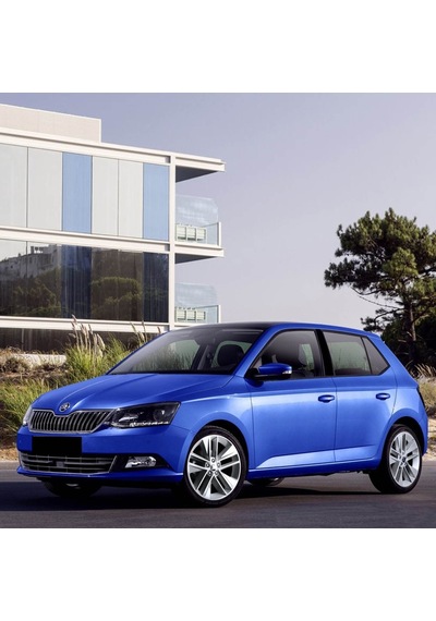 Skoda Fabia 2015-2021 Tekerlek Bijon Kapağı Gri 5 Adet 1z0601173