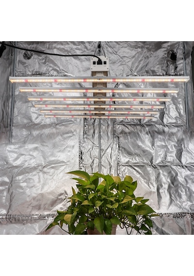 Sonicpro Hidrowing 600 Led Bitki Yetiştirme Lambası