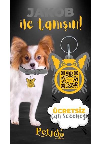 Petjoo 8.Jakob Sarı-Gri Qr'lı Köpek Künyesi