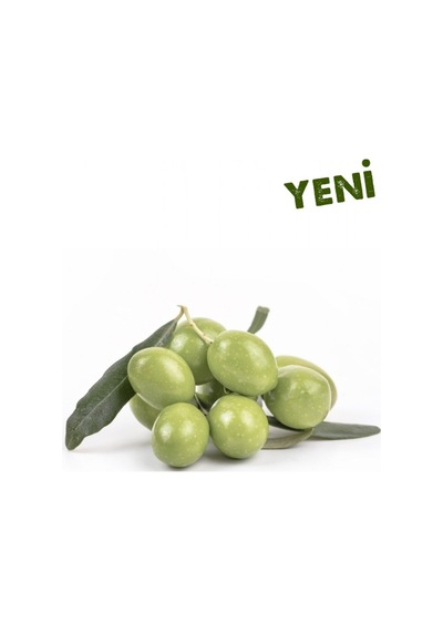 Tüplü Aşılı Içi Doldurulabilen Sarı Ulak Zeytin Fidanı
