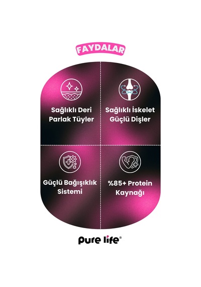 Purelife Premium Kuzulu Yetişkin Köpek Maması 15 KG
