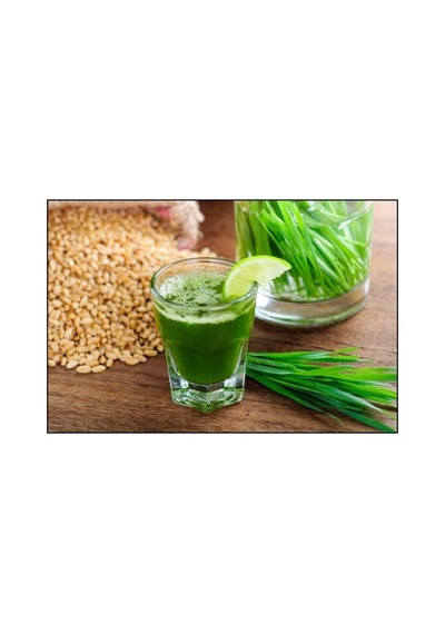 Buğday Çimi 1 Kg Doğal Buğday Çimi Tohumu Tane Buğday Çim Tohumu Ilaçsız Naturel