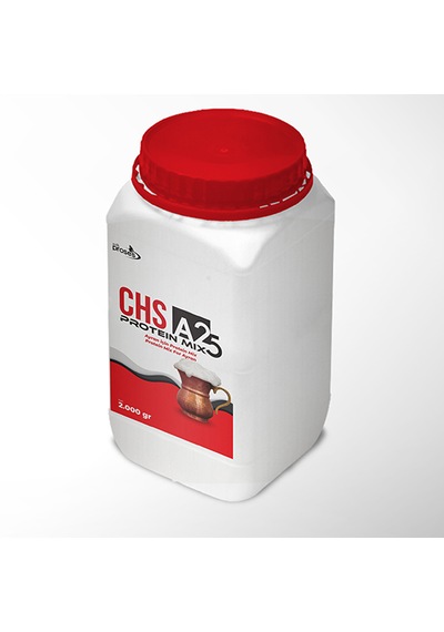 Milk Proses Chs A25 Ayran Protein Mix/ Ayran Proteini / 2 Kg