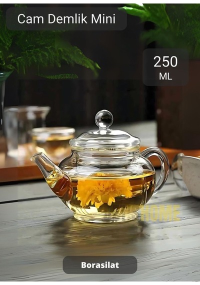 Mini Cam Demlik Şeffaf Süzgeçli Demlik Isıya Dayanıklı Bitki Çayı Demliği Borosilat 250 Ml Çap 5.5