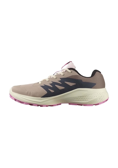 Salomon Alpha Glide Gtx W Gore-tex L47857900 Erkek Spor Ayakkabı Pudra