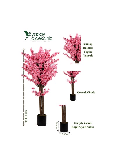 120 Cm Pembe Bahardalı Ağacı