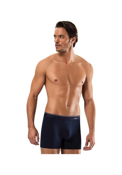 Erdem Füme-gri-lacivert -- 3'lü Basic Boxer 1491 Füme - Gri - Lacivert