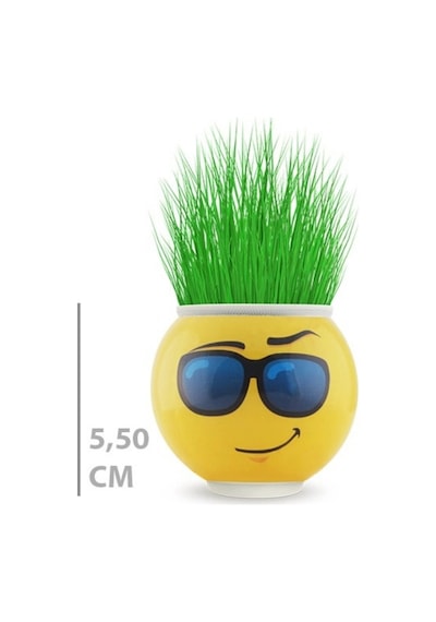 Çim Adam Saksı Emoji Figürlü 1 Adet Renkli