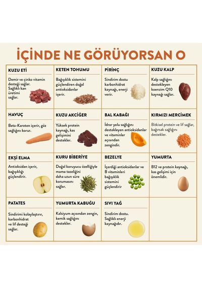Kito Kuzu Etli Yetişkin Köpek Maması 7 KG + Kito Fresh Tanışma Paketi Köpek Yemeği 6'lı
