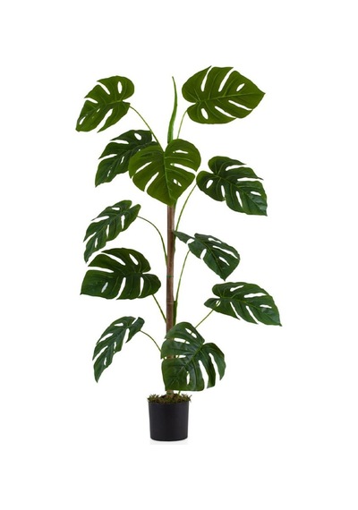 Siyah Saksıda 11 Dal Yapay Monstera Ağacı 105 Cm