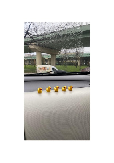 5'li Mini Ördek Set Dikiz Aynası Süsü Araba Torpido Süsü Aksesuar Peyzaj Ev Dekorasyon