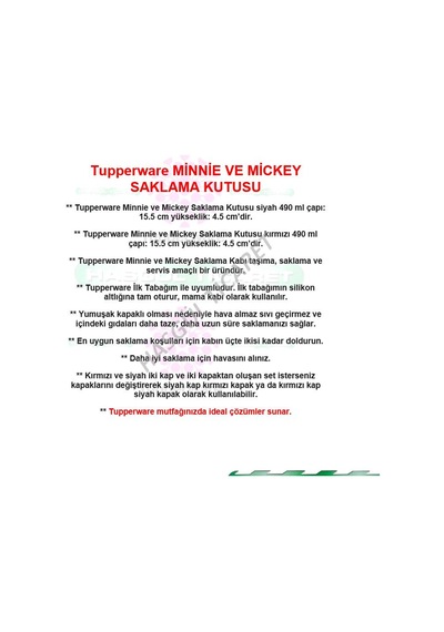 Tupperware Beslenme Kabı Minnie Mickey Saklama Kutusu Hsgl