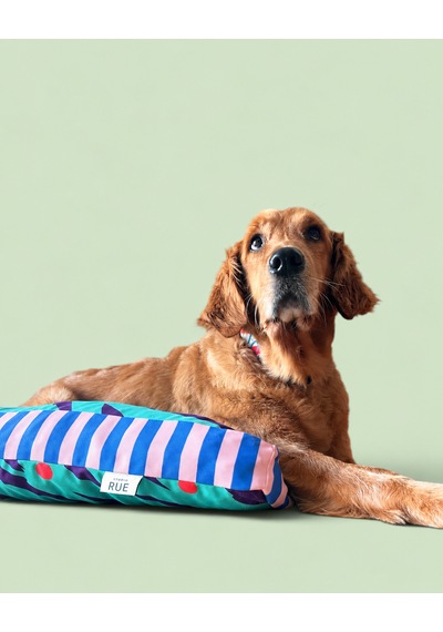 Kedi Ve Köpek Yatağı 80x60 Cm - Desenli, Yıkanabilir Kılıflı Organizer Çanta Hediyeli