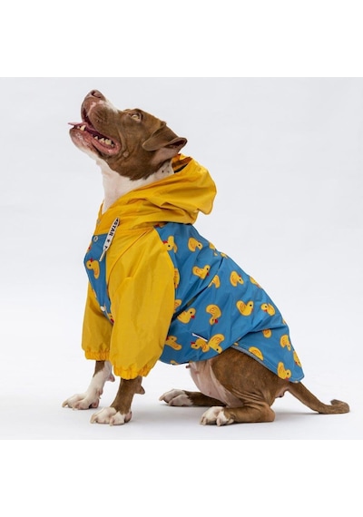Pawstar Pekin Büyük Irk Yağmurluk