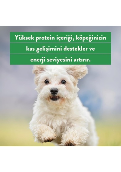 Freeze Dried Tavuk Göğüs Köpek Ve Kedi Ödül Maması%100 Doğal, Glutensiz 30 Gr Dog And Cat Treat